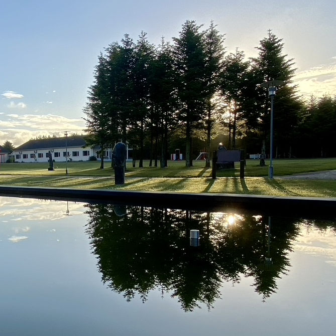 Photo of spruces and fountain at dawn