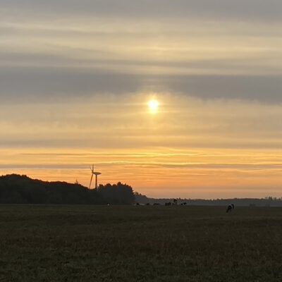 Sunset with black outline of a wind turbine on the horizon.