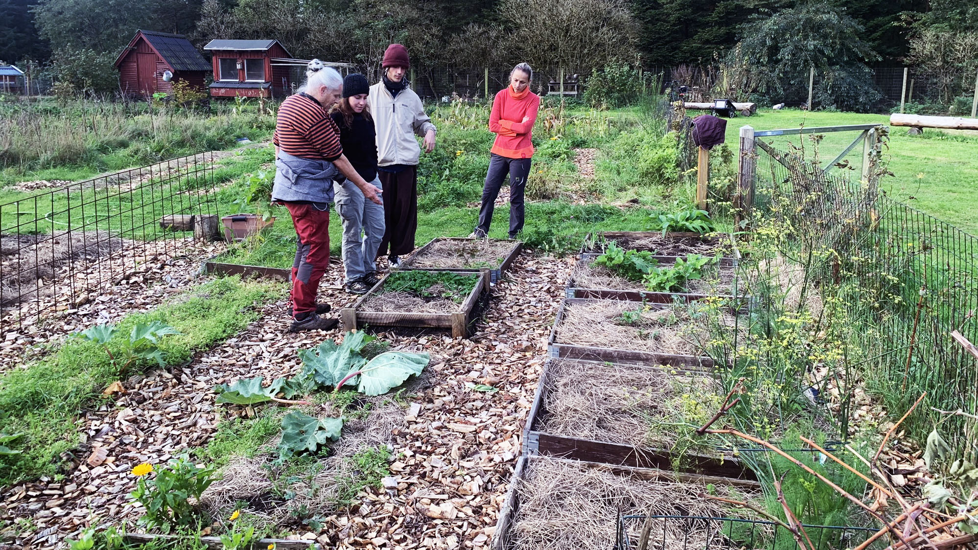 Nature Now team in the garden